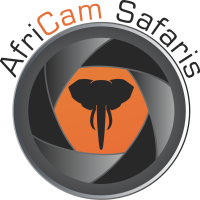 AfriCam Safaris
