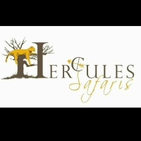 Hercules Safaris