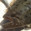 Right Hook Sportfishing
