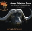 PJ Hunting Safaris Safaris