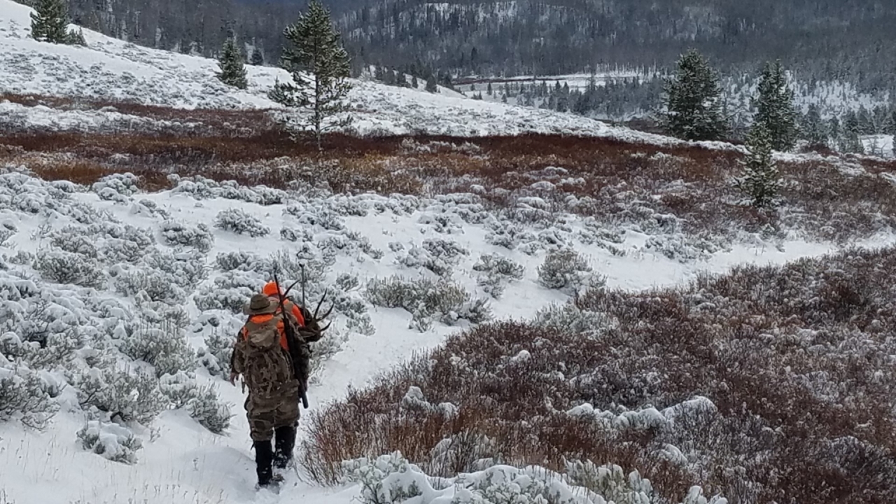 Alpha and Omega Outdoors 2016 Mule Deer Pack Out